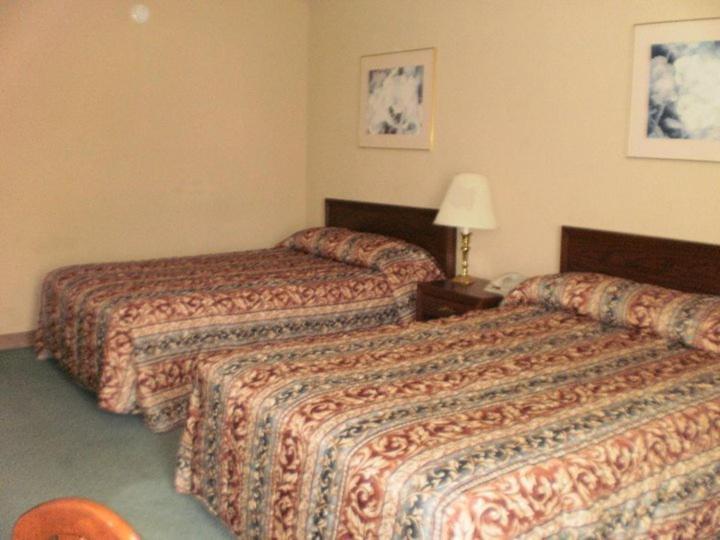 Boarders Inn And Suites - Marion Kamer foto
